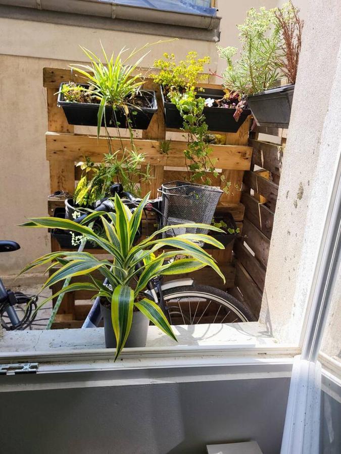 Cosy Appartement Hyper Centre-Ville Quimper Eksteriør billede